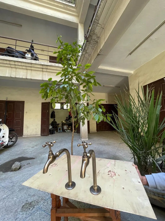 Premium handmade brass water dispenser faucet displayed in a stylish indoor setting with greenery.